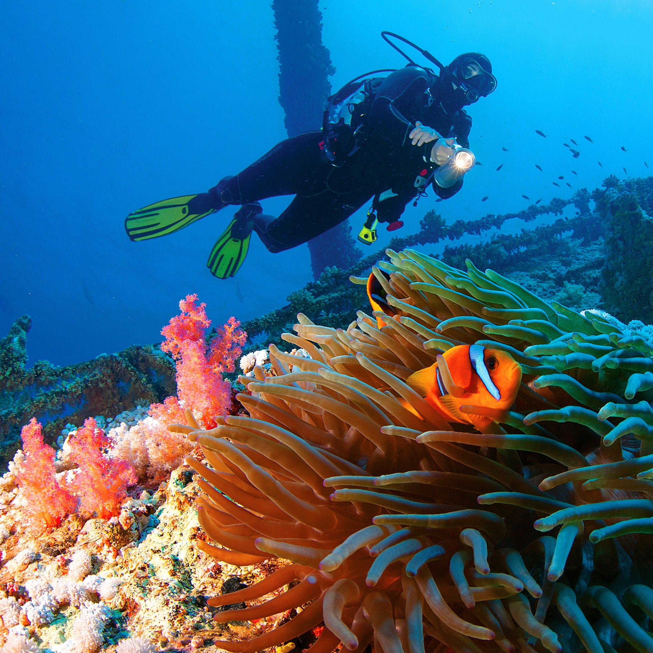Scuba diver over a vibrant coral reef with tropical fish off Zanzibar